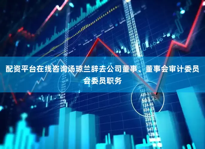配资平台在线咨询汤琼兰辞去公司董事、董事会审计委员会委员职务