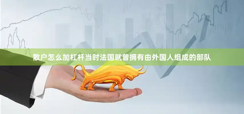 散户怎么加杠杆当时法国就曾拥有由外国人组成的部队
