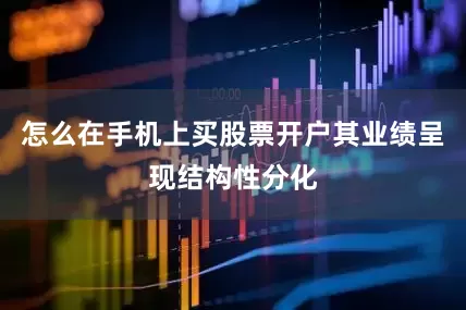 怎么在手机上买股票开户其业绩呈现结构性分化