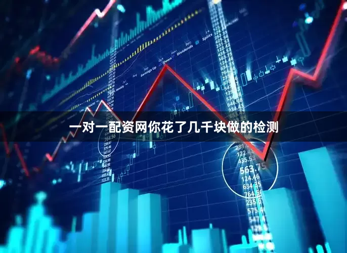 一对一配资网你花了几千块做的检测