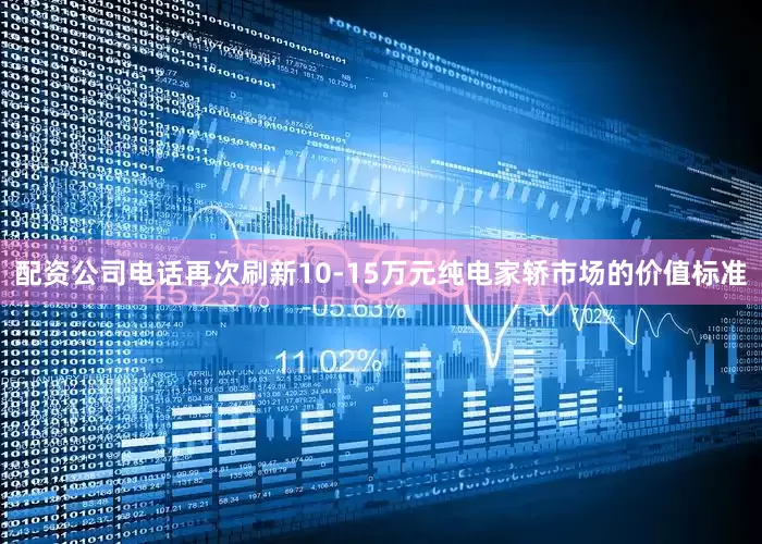 配资公司电话再次刷新10-15万元纯电家轿市场的价值标准