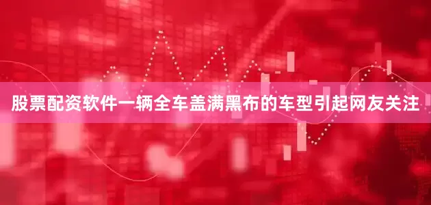 股票配资软件一辆全车盖满黑布的车型引起网友关注